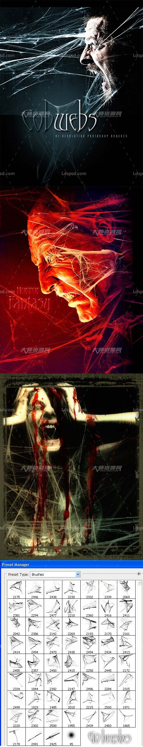 Ron's Cobwebs,极品PS画笔－60支高清的蜘蛛网丝笔刷